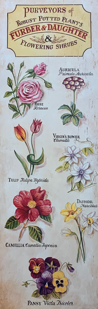 25x66 - COD: 6BB - C52 - 20