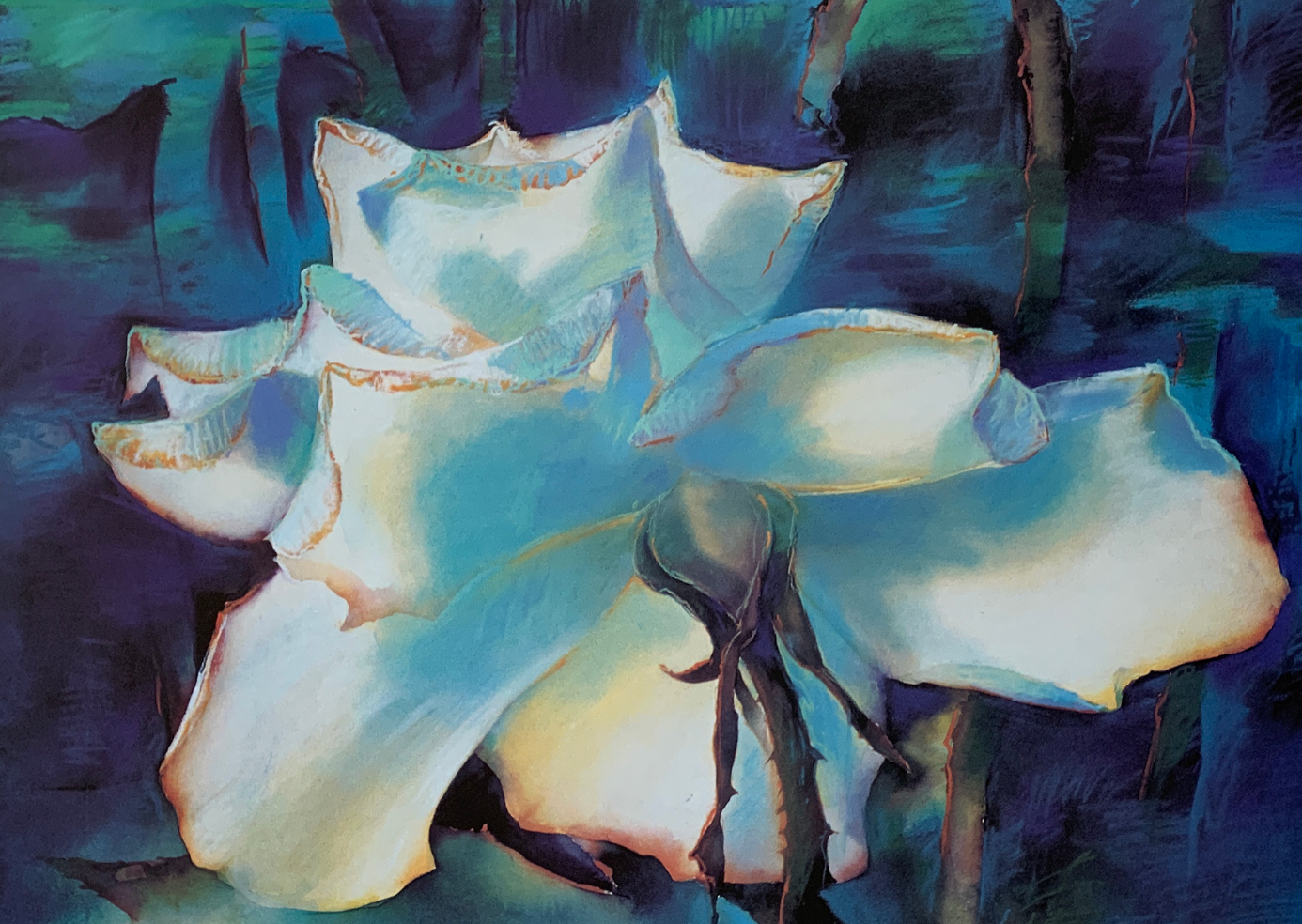 80x60 - 5W - F11 - 26