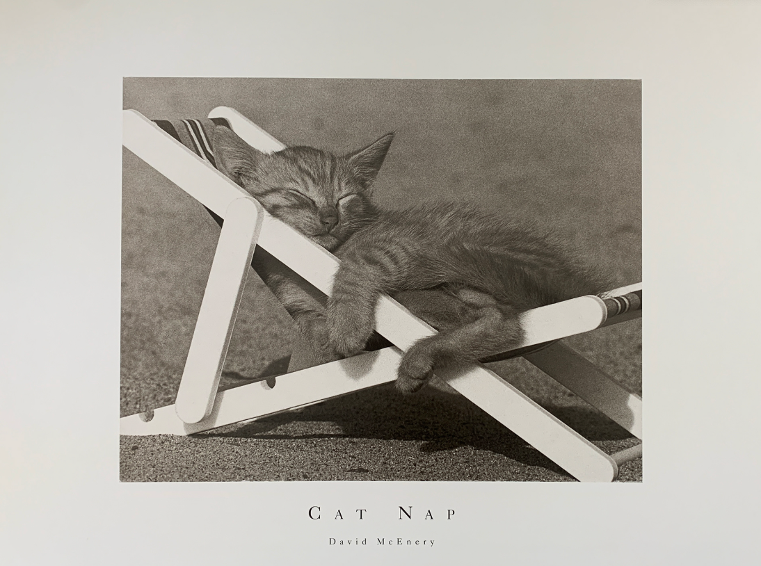 80x60 - 6GG - F21 - 18