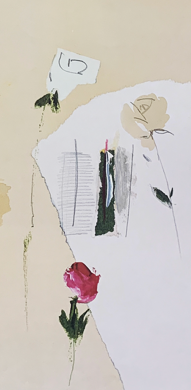 28x53 - 5Z - F06 - 24