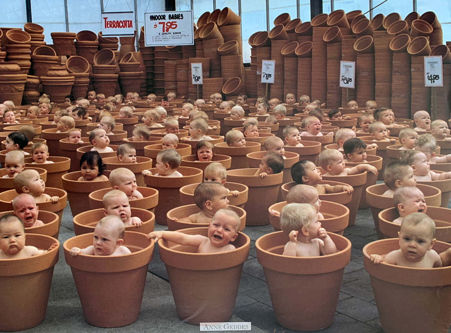 60x80 - 6DD - F08 - 18