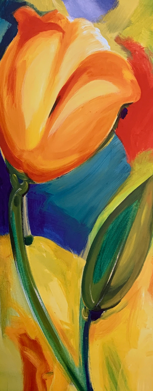 30x70 - 5Z - F16 - 19