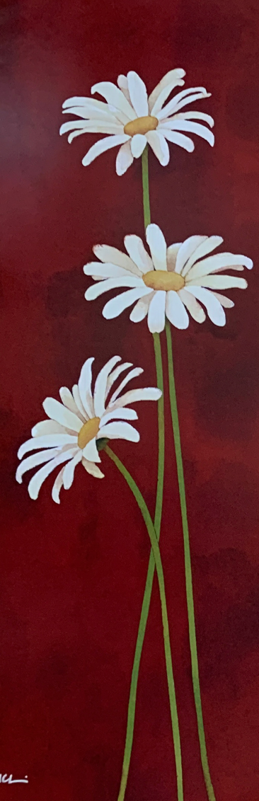 25x70 - 5Y - F25 - 24