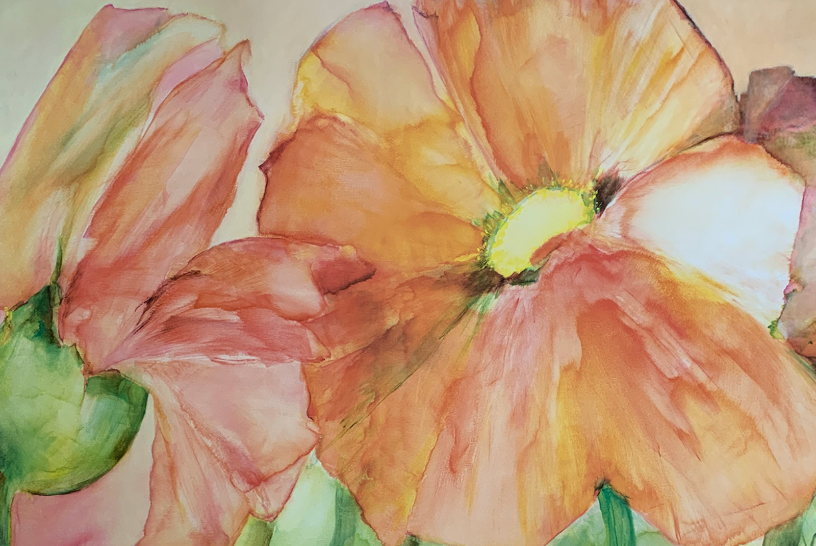 94x66 - 5Z - F24 - 40