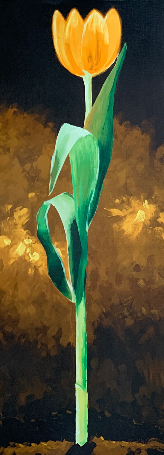 30x96 - 5Z - F10 - 38