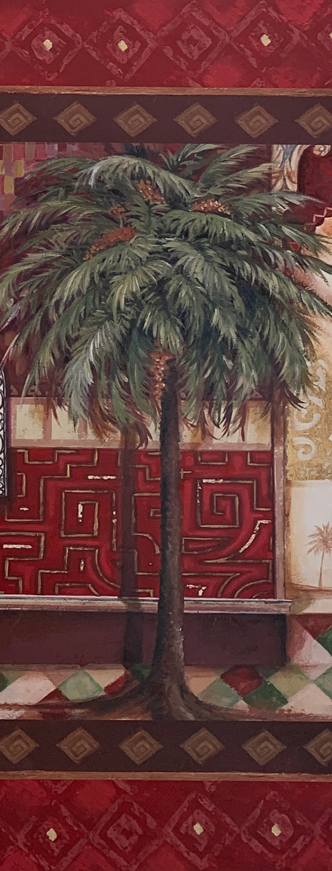 20x50 LF 521
