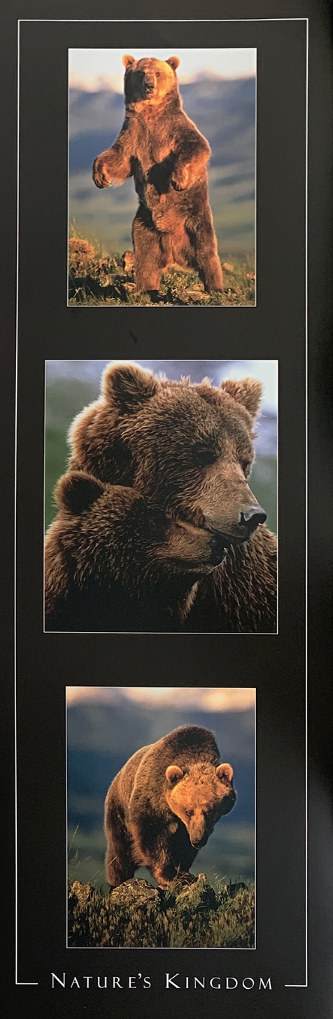 31x91 - 6EE - F23 - 16