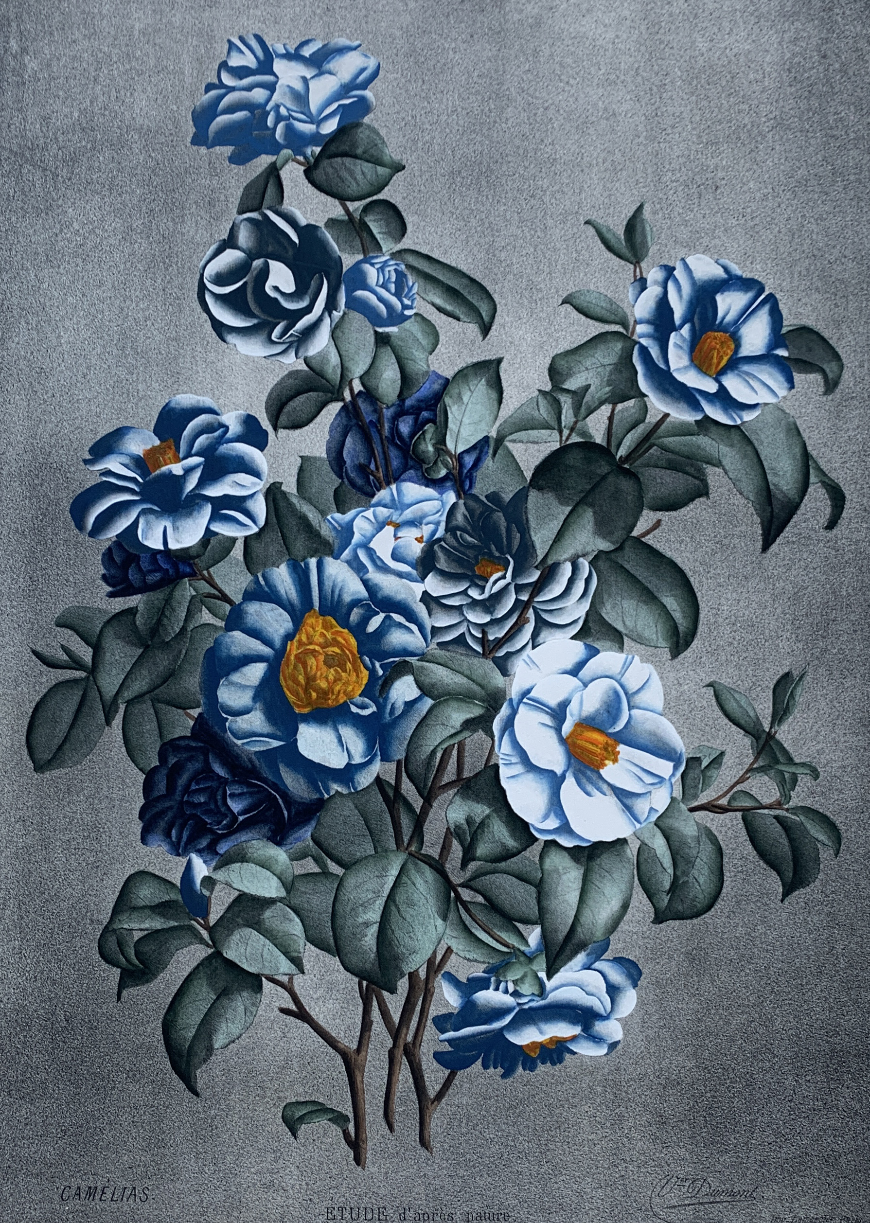 70x100 - COD: 3P - i02 - 120