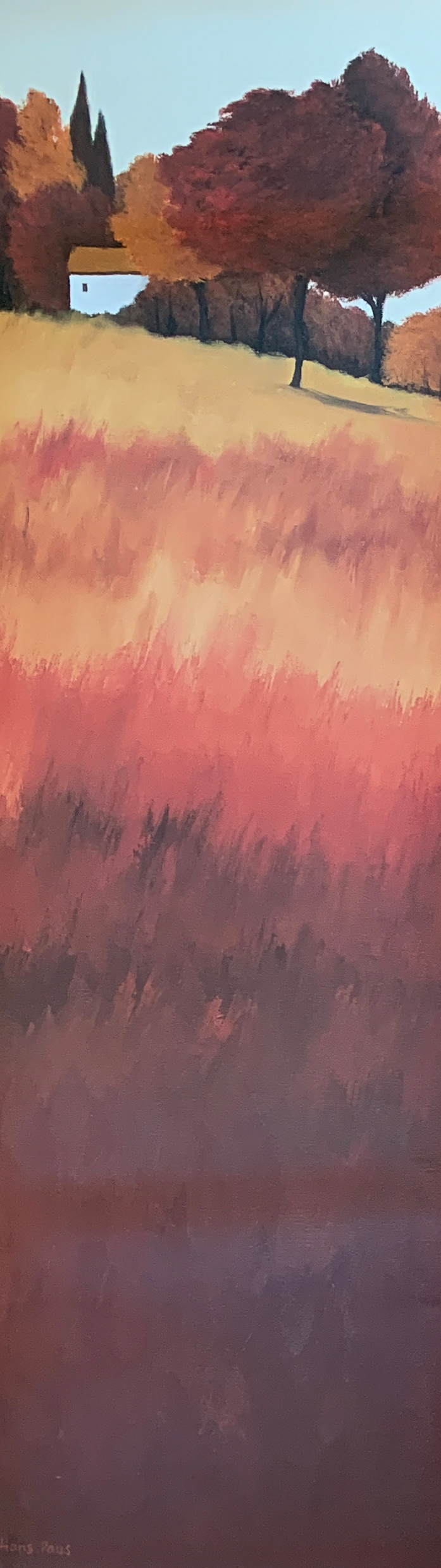 20x44 COD: LP248