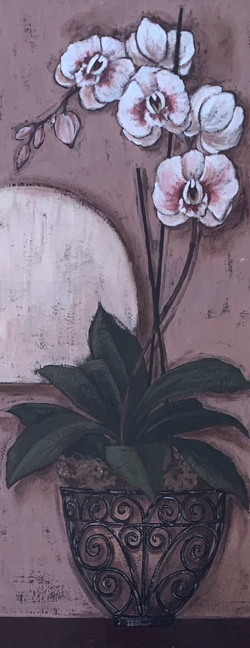 20x50 LF 558