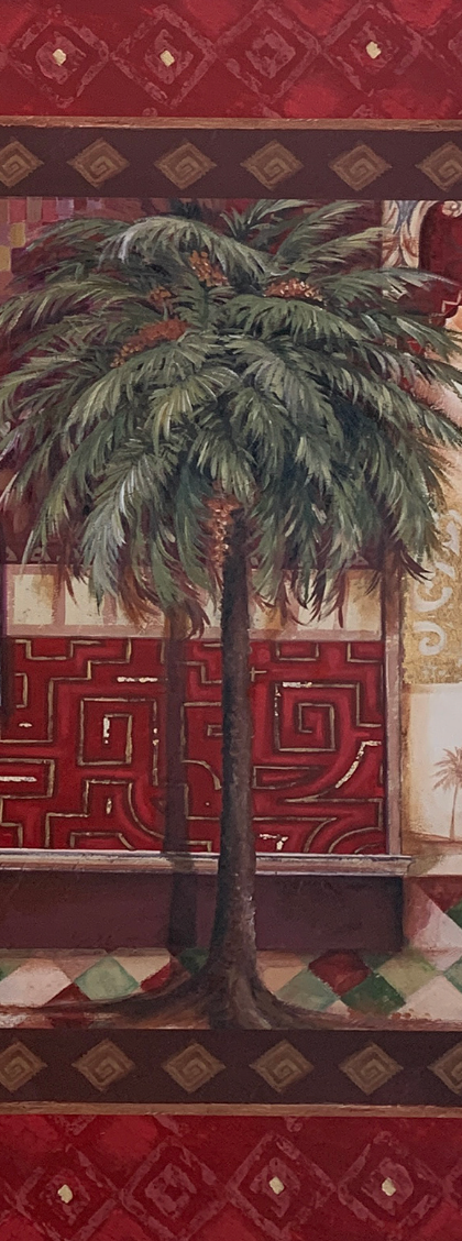 20x50 - COD: 5U - V12 - 12