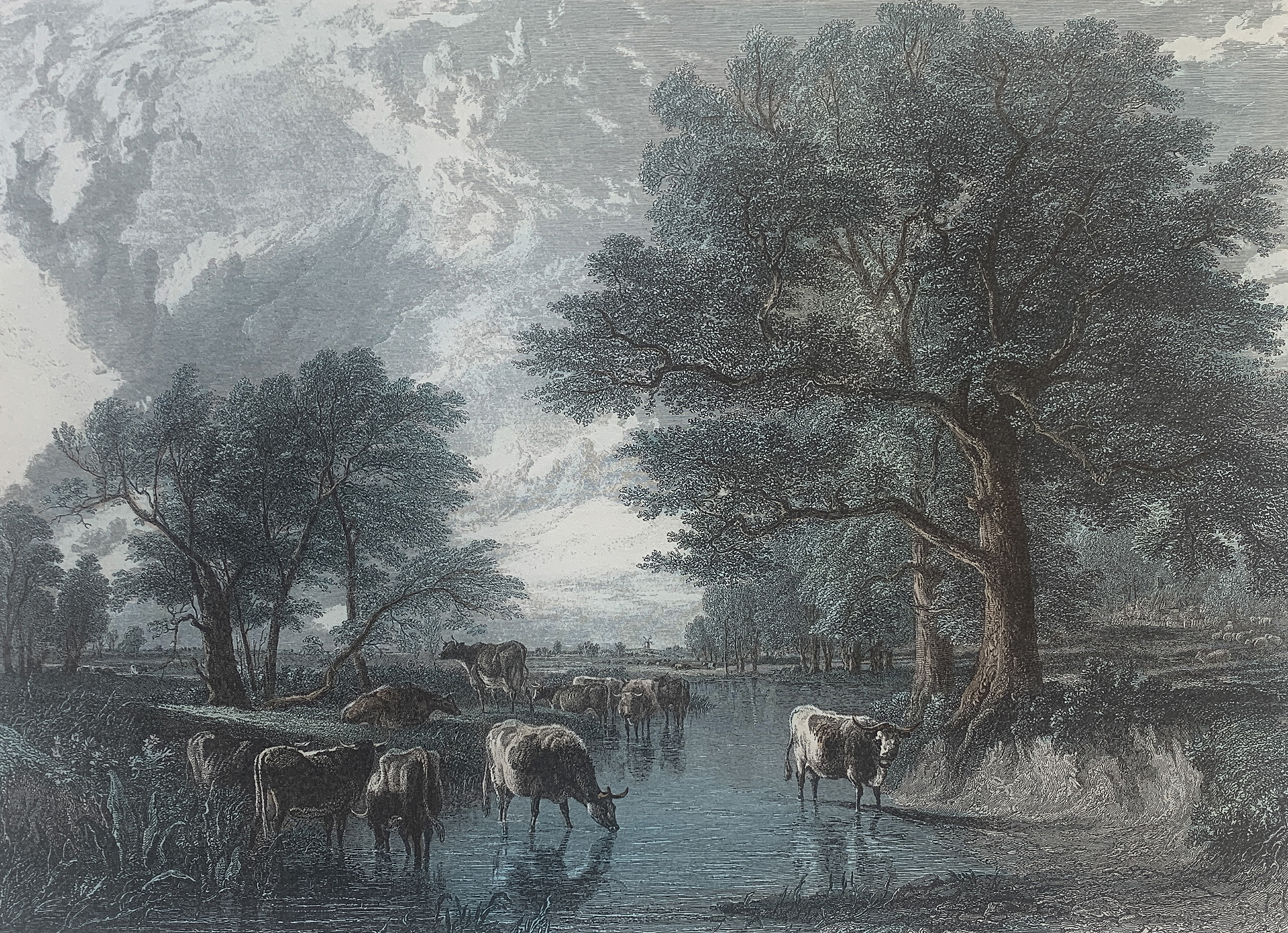 70x50 - COD: 3P - i12 - 65