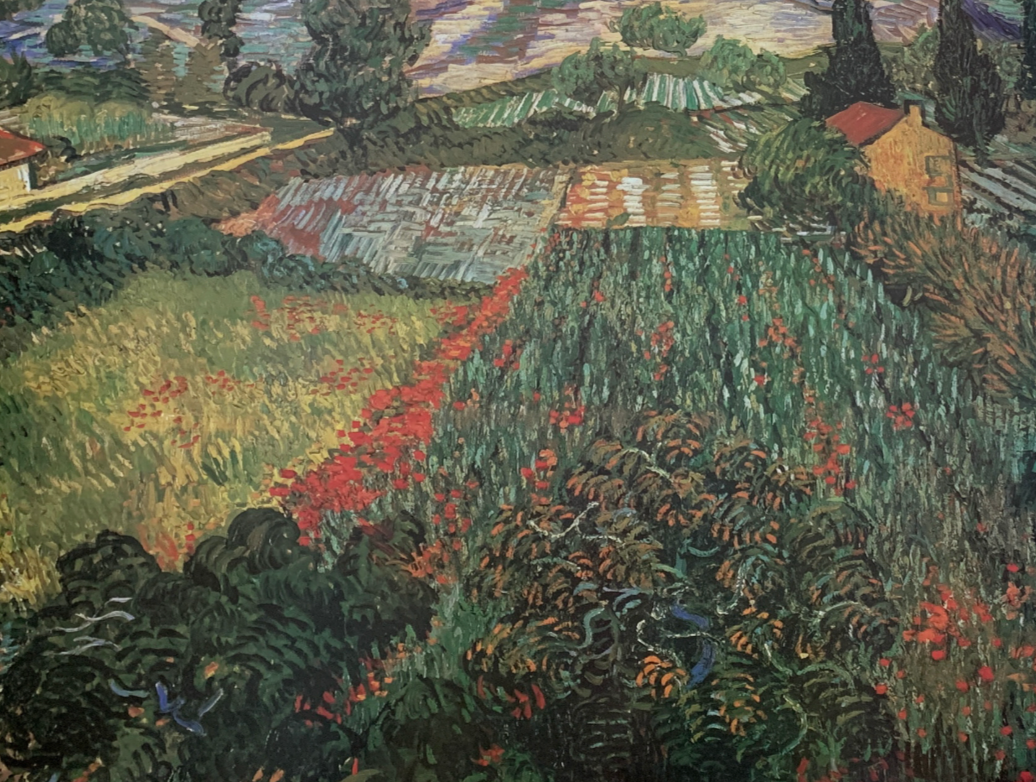 78x60 - COD: 4R - M07 - 28