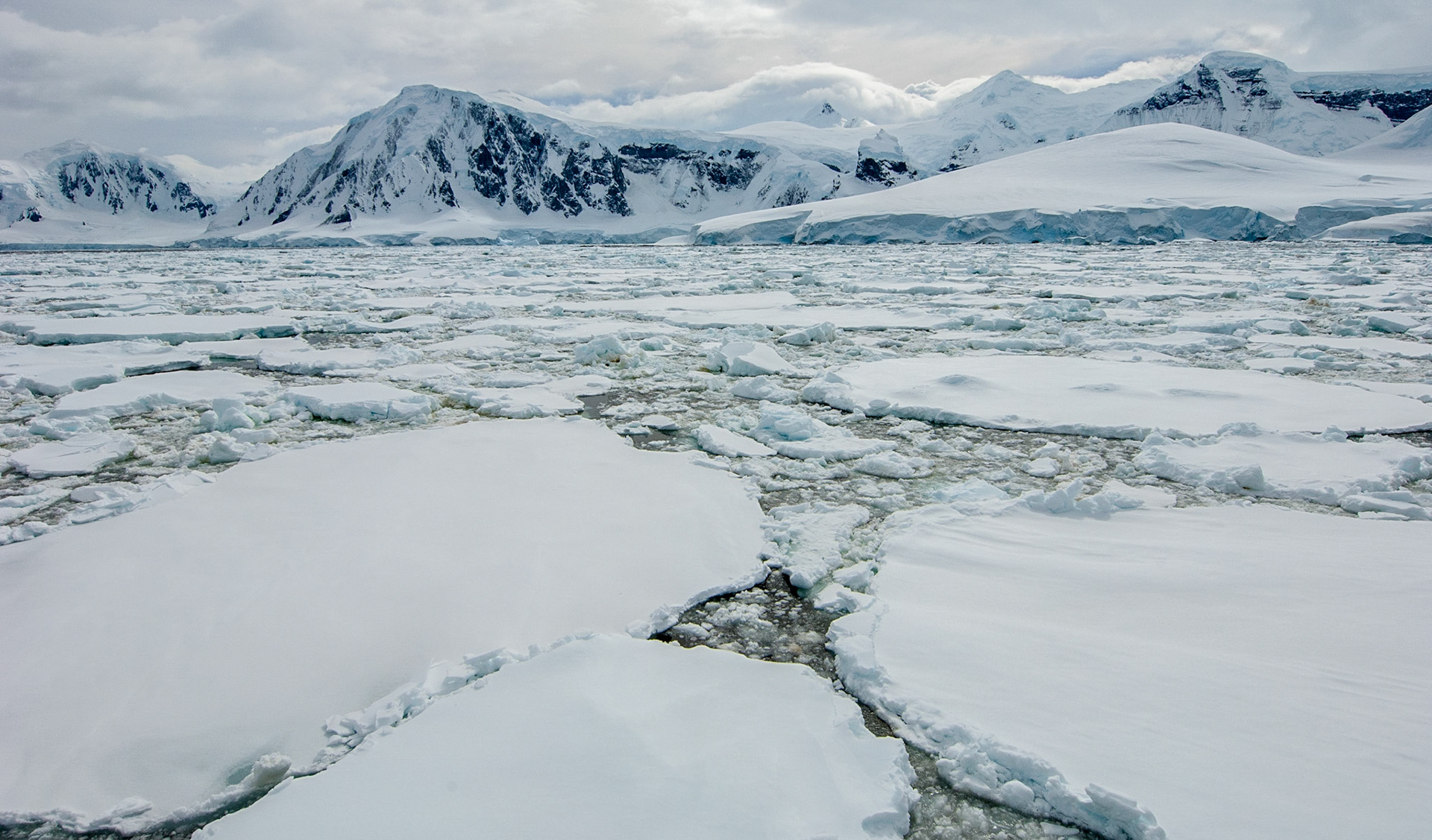 Pack ice in the Neumayer Channel, Antarctica