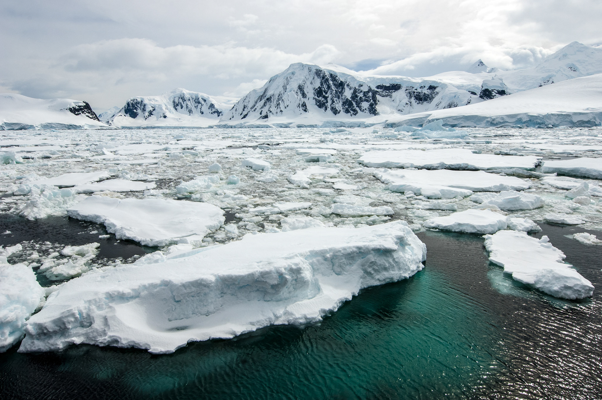 Pack ice in the Neumayer Channel, Antarctica
