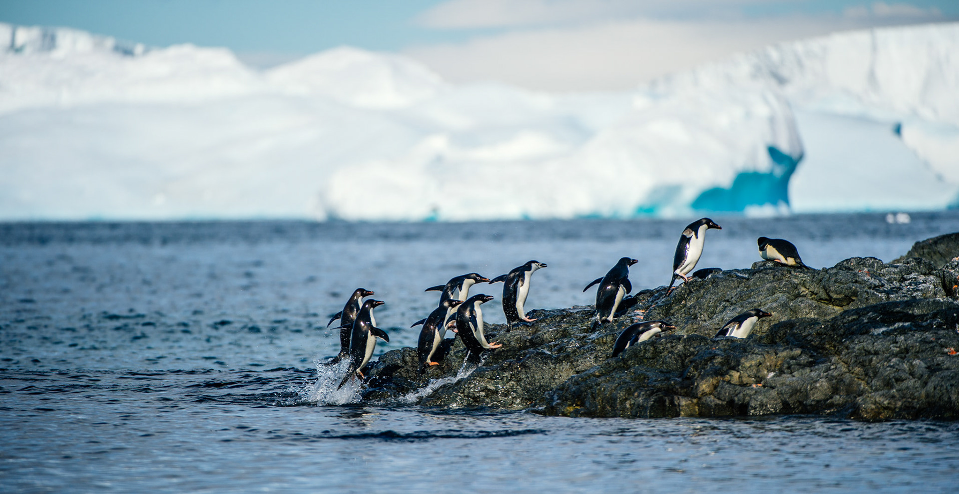 Adelie penguins at Gourdin Island, Antarctica