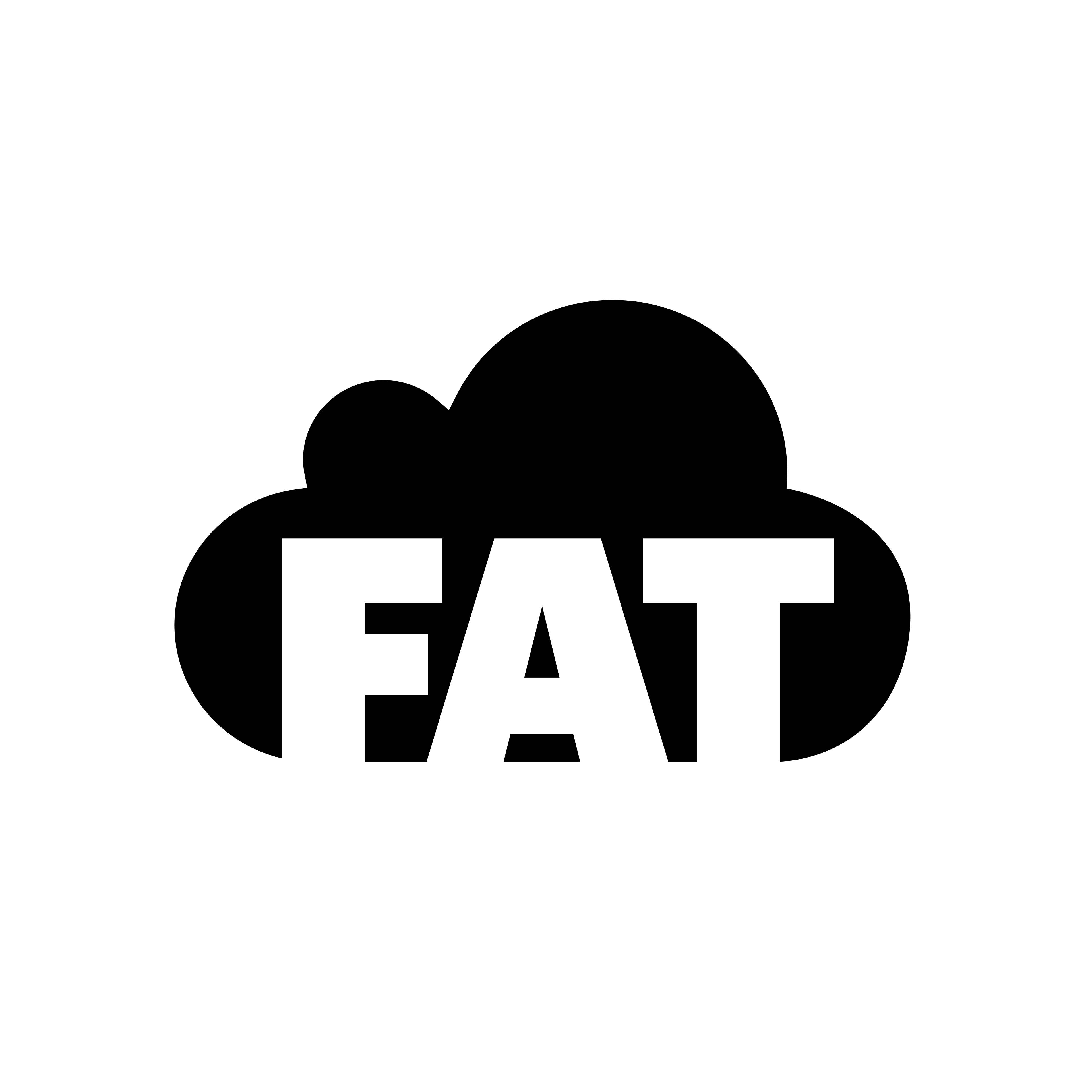 Logo for Software Company