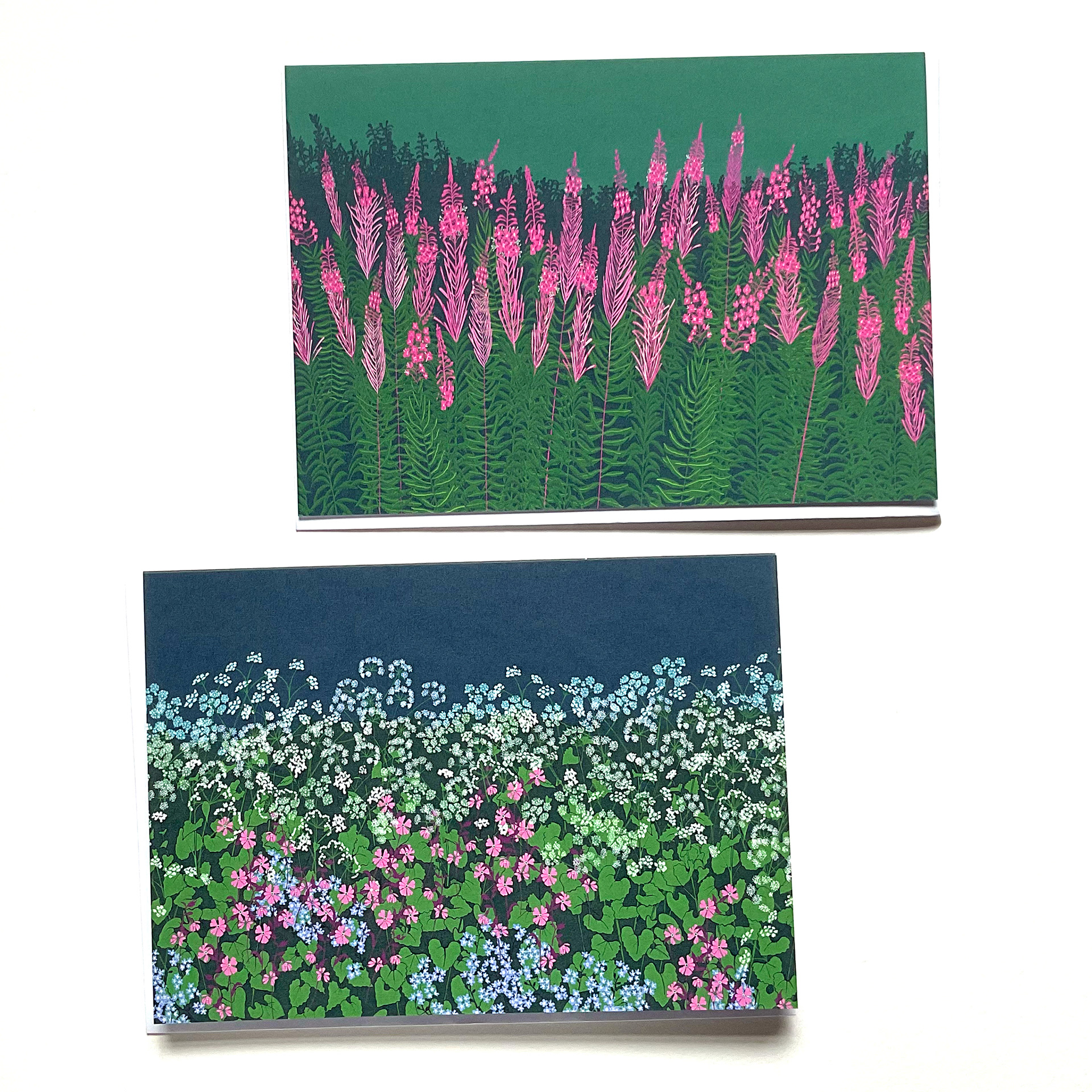 Red Campion hedge and Rose Bay Willow Herb