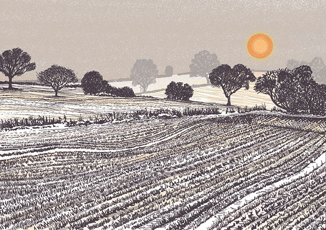 Winter Sun