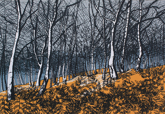 Silver Winter Birch, 20x29cm SOLD OUT