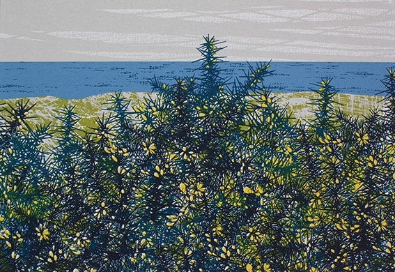 Winter Gorse, 20x29cm