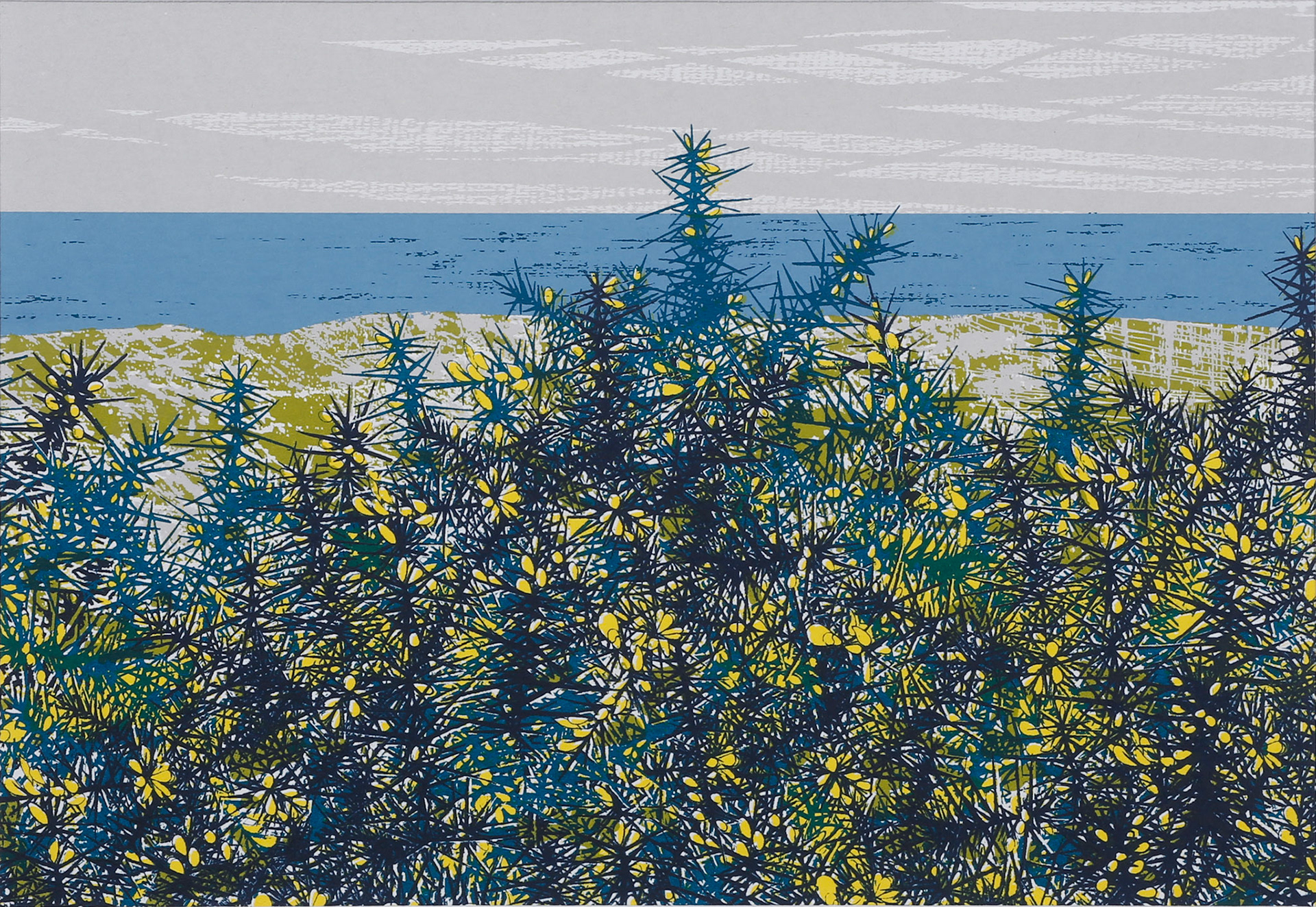 Winter Gorse