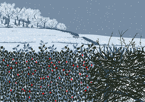 Holly hedge grey