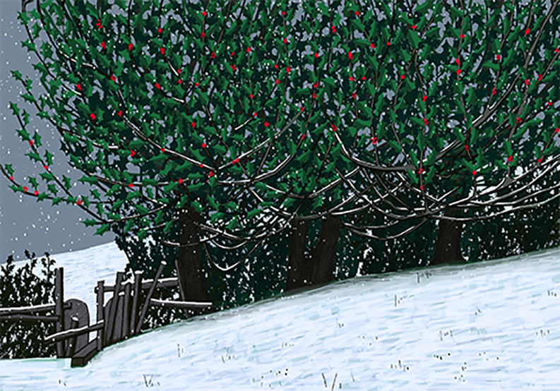 Holly Tree Green