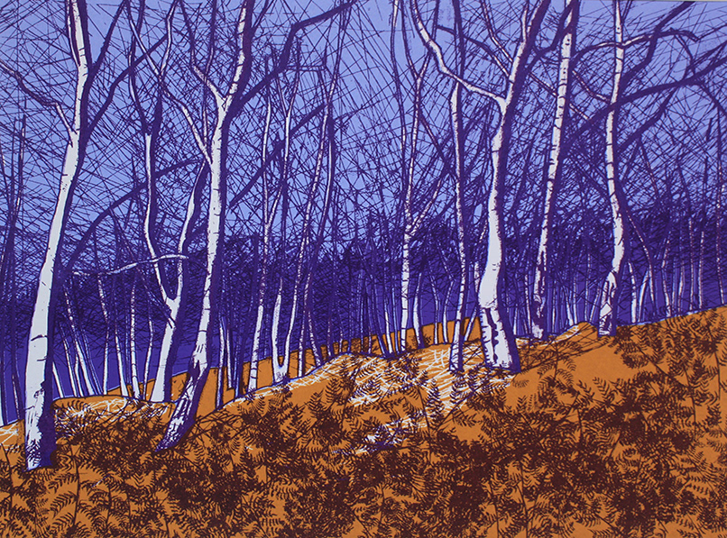 Winter Birch