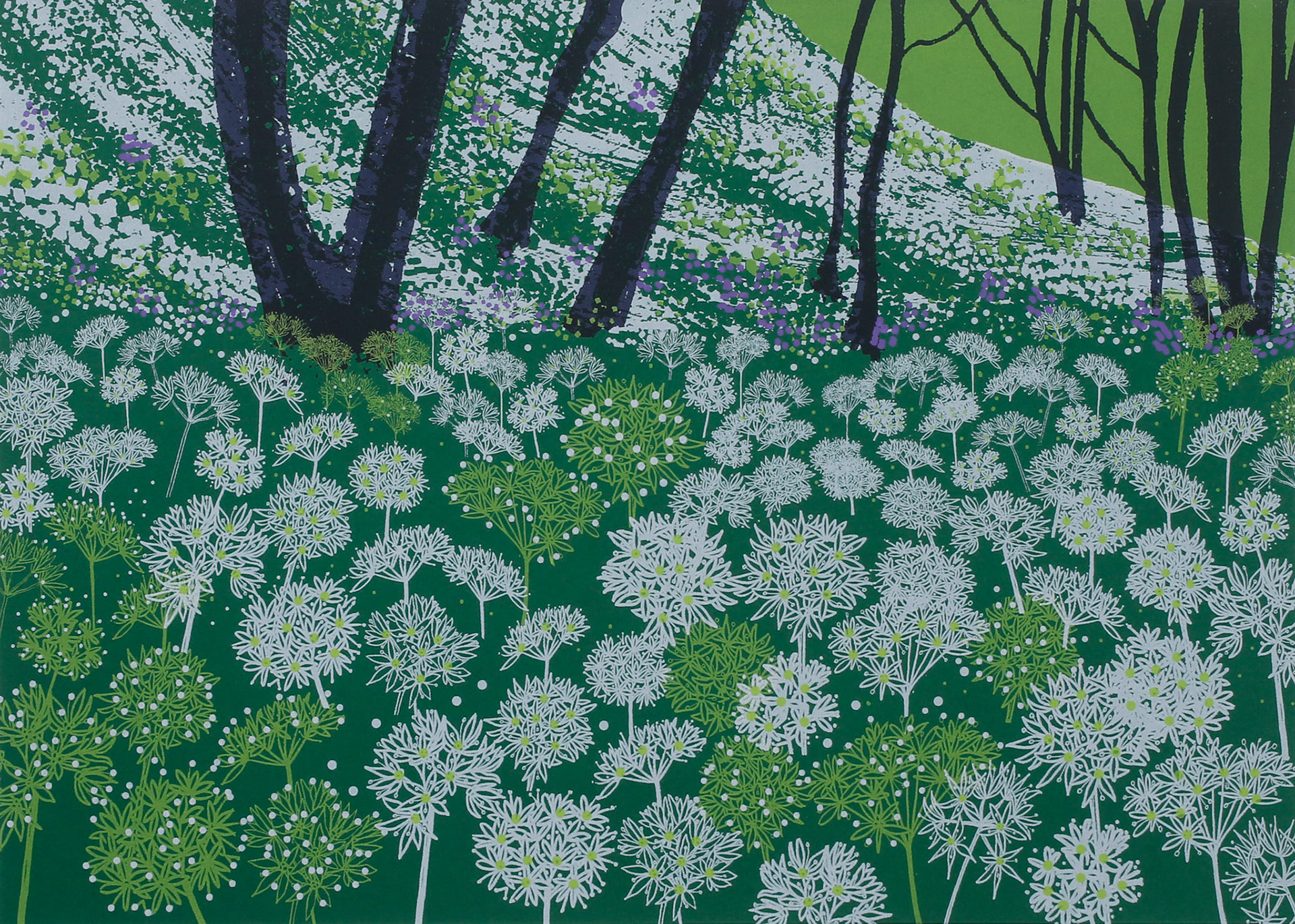 Wild Garlic Flowers