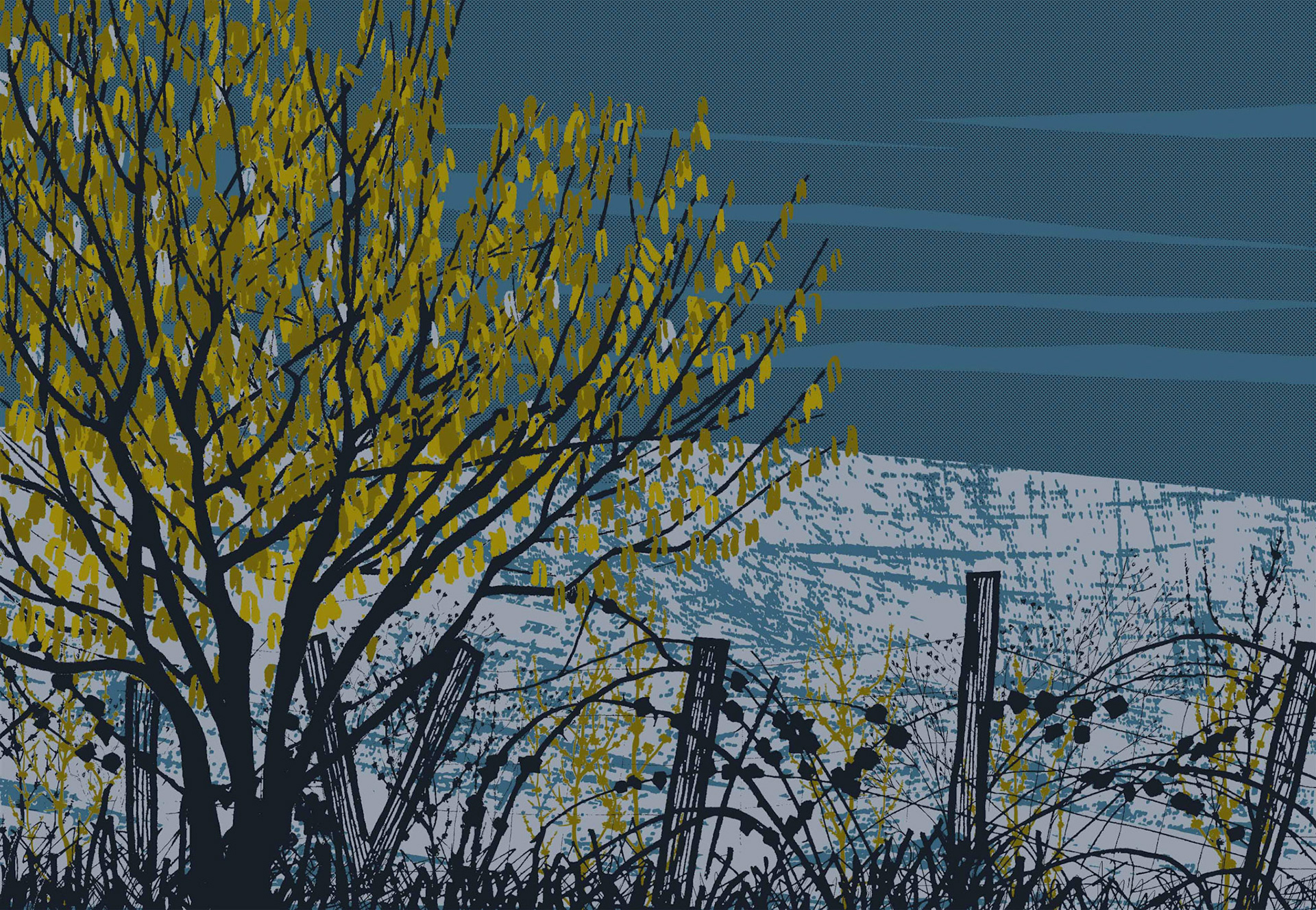 Winter Hazel