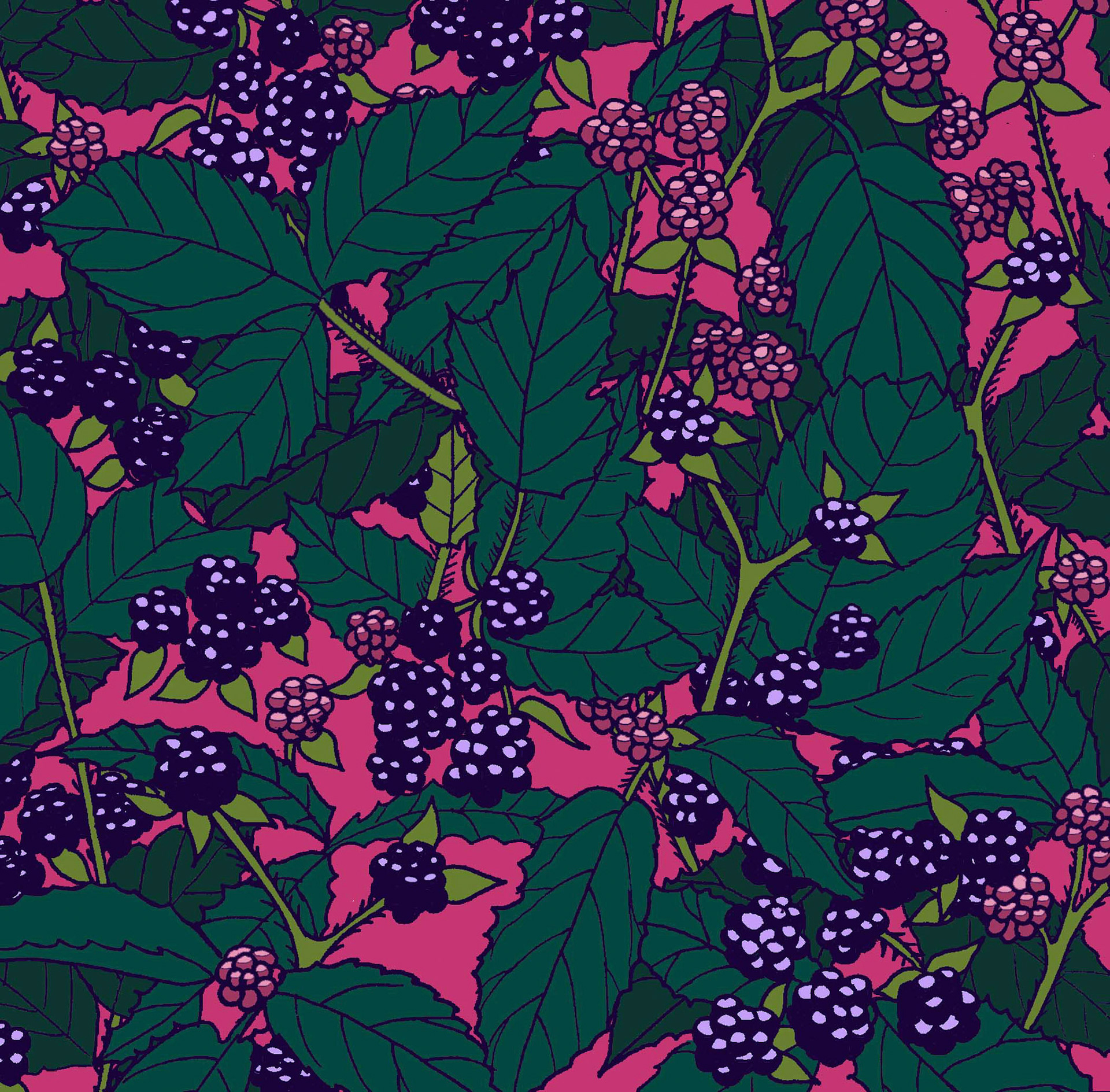 Blackberry cluster