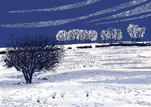 Middleton Moor