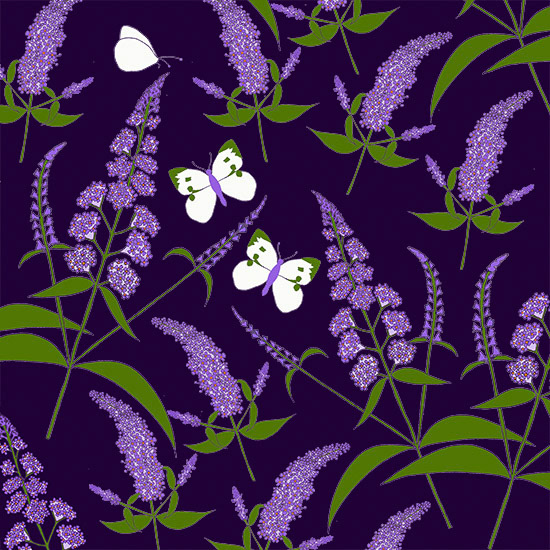 Budleia Butterfly