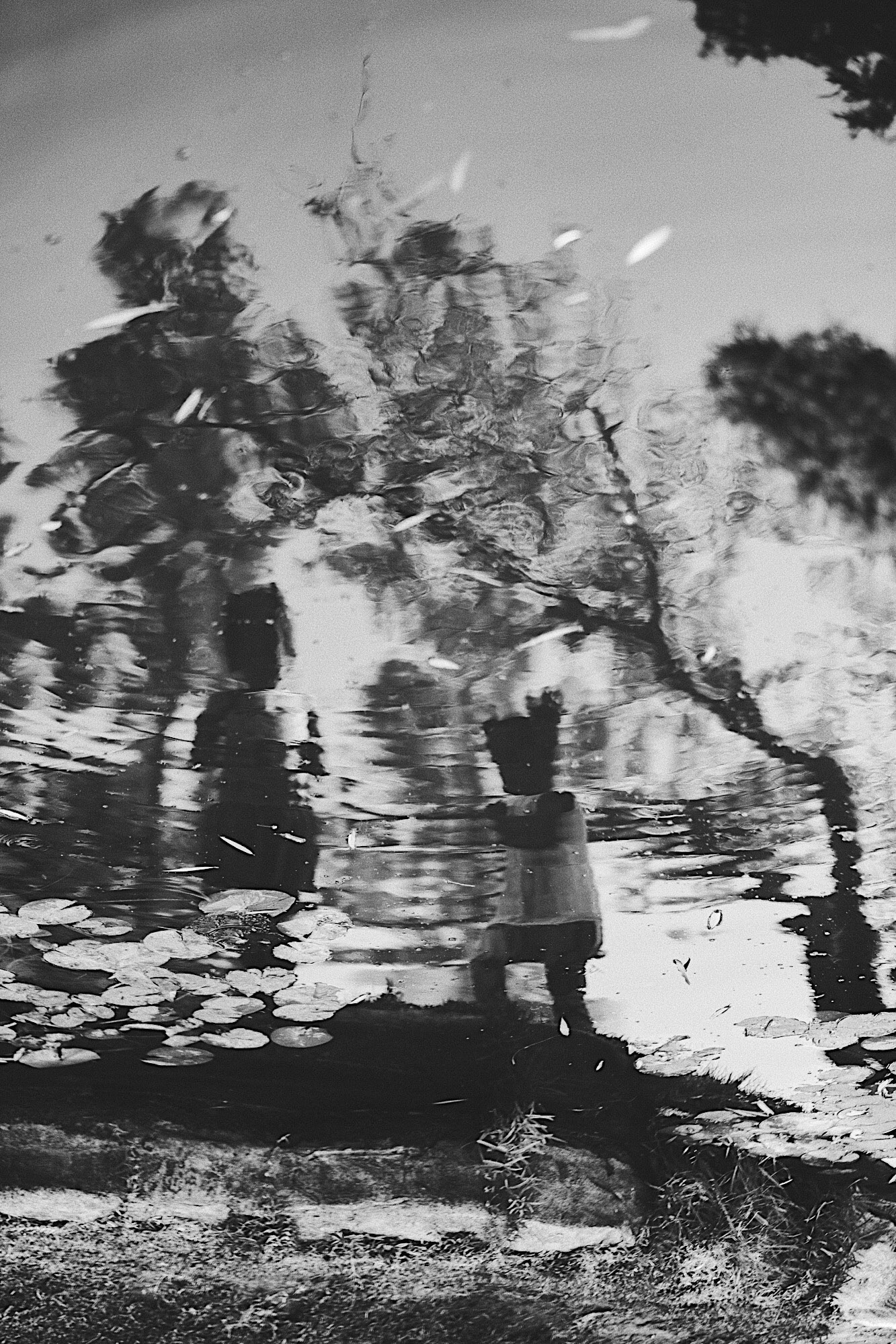 Processed with VSCO with b1 preset