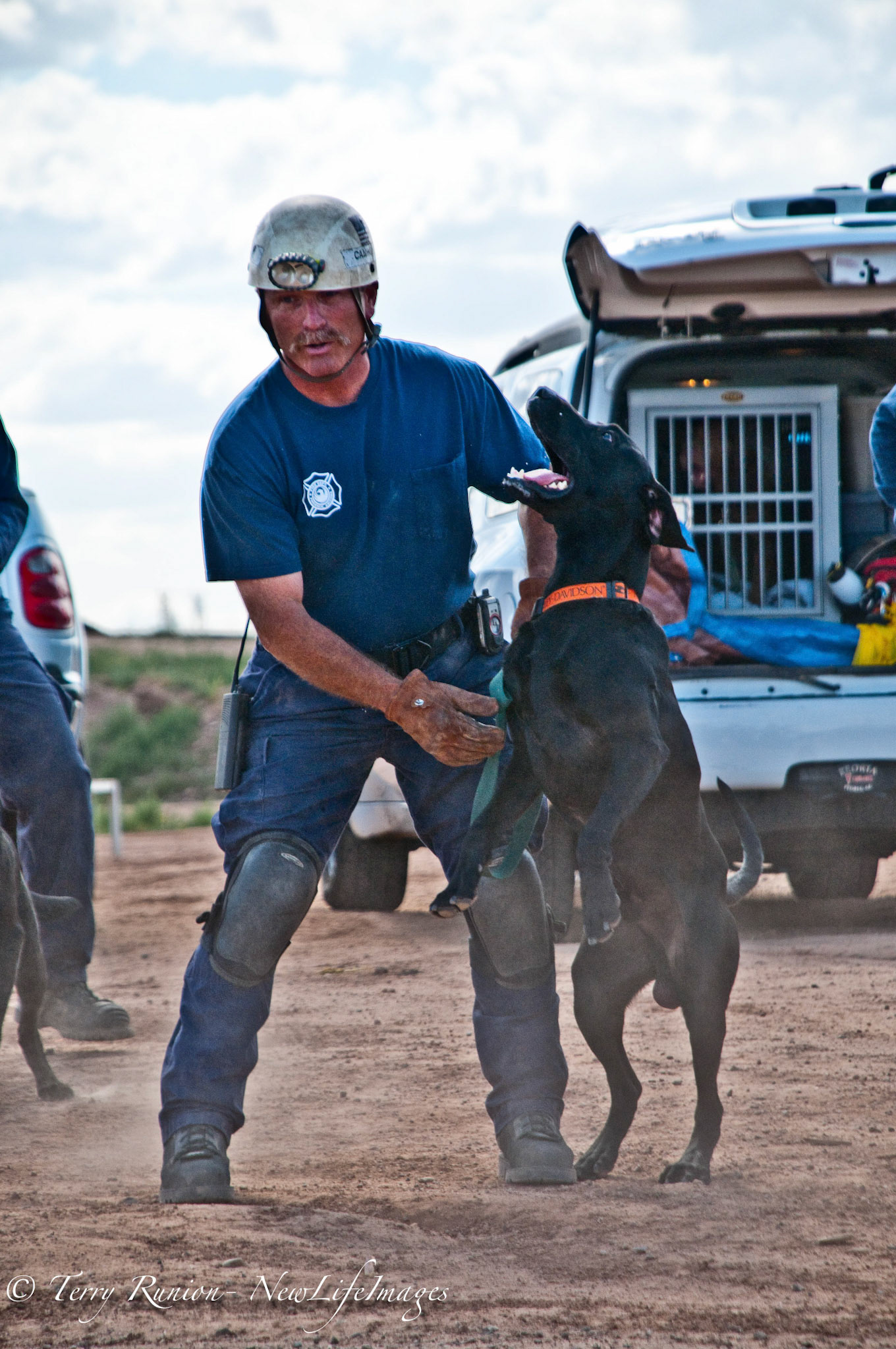 Search and Rescue Dogs