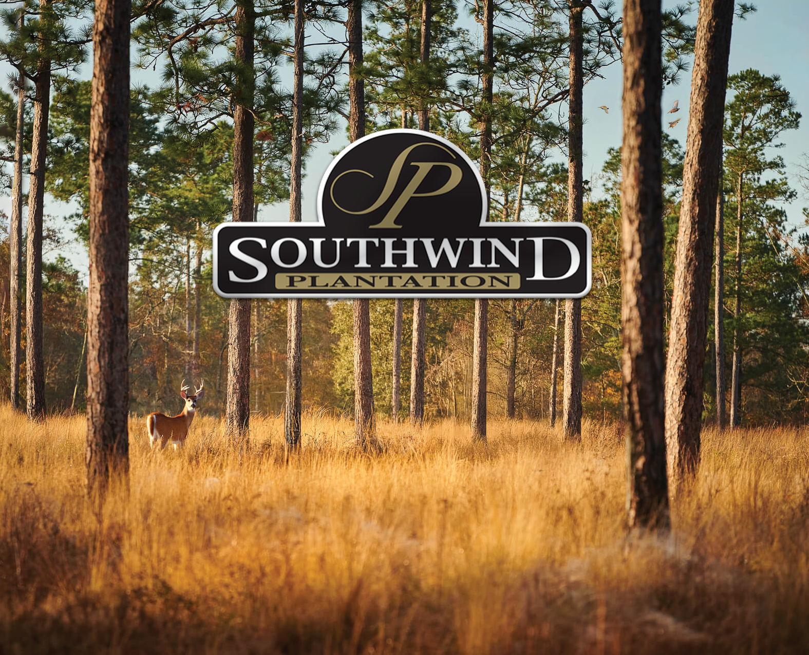 SouthWind Activation