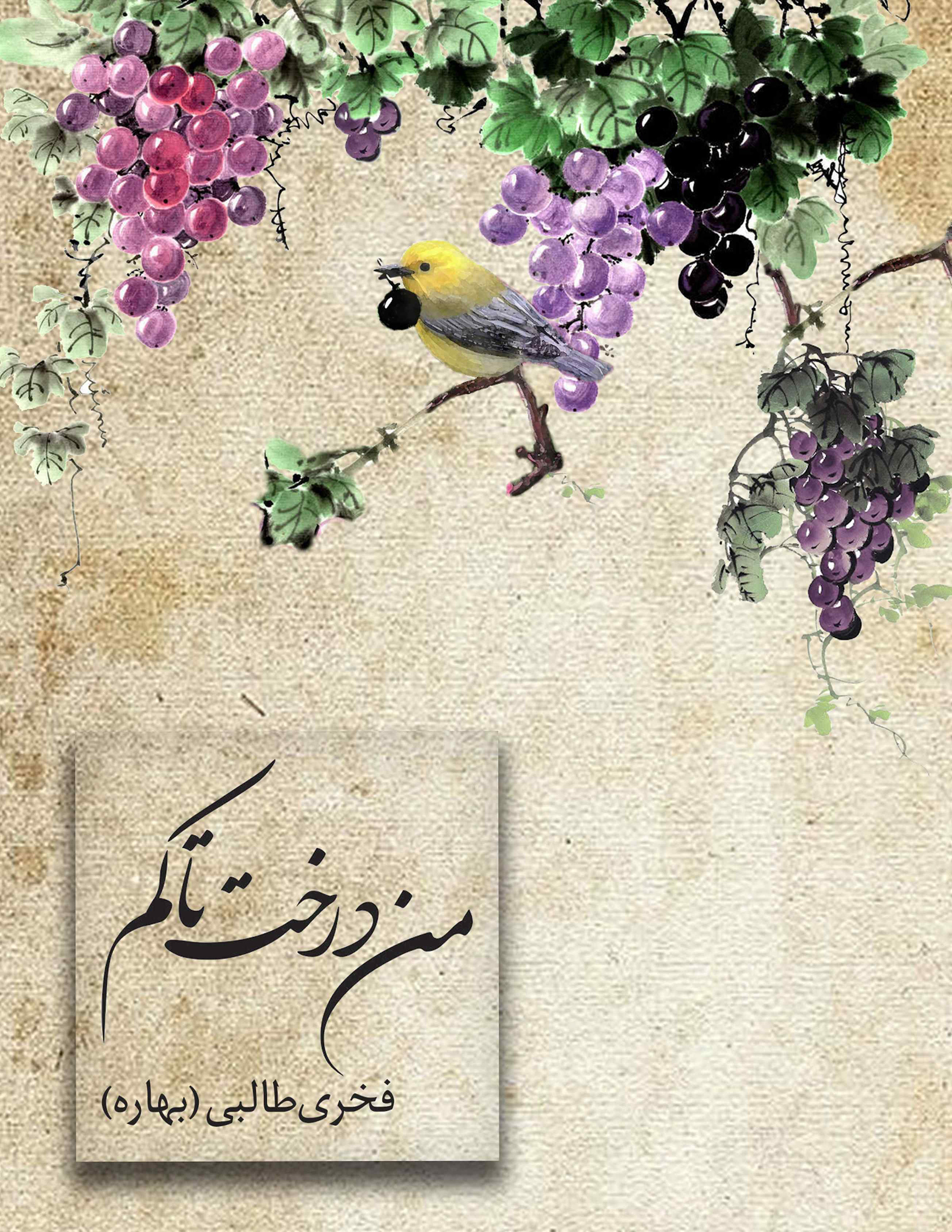 Cover of Fakhri Talebi's poetry collection "من درخت تاکم" (I Am a  Grapevine Tree). A watercolor and ink illustration shows a small  yellow and gray bird perched among hanging clusters of purple, pink,  and black grapes with green leaves, set against a textured, warm  parchment-toned background.