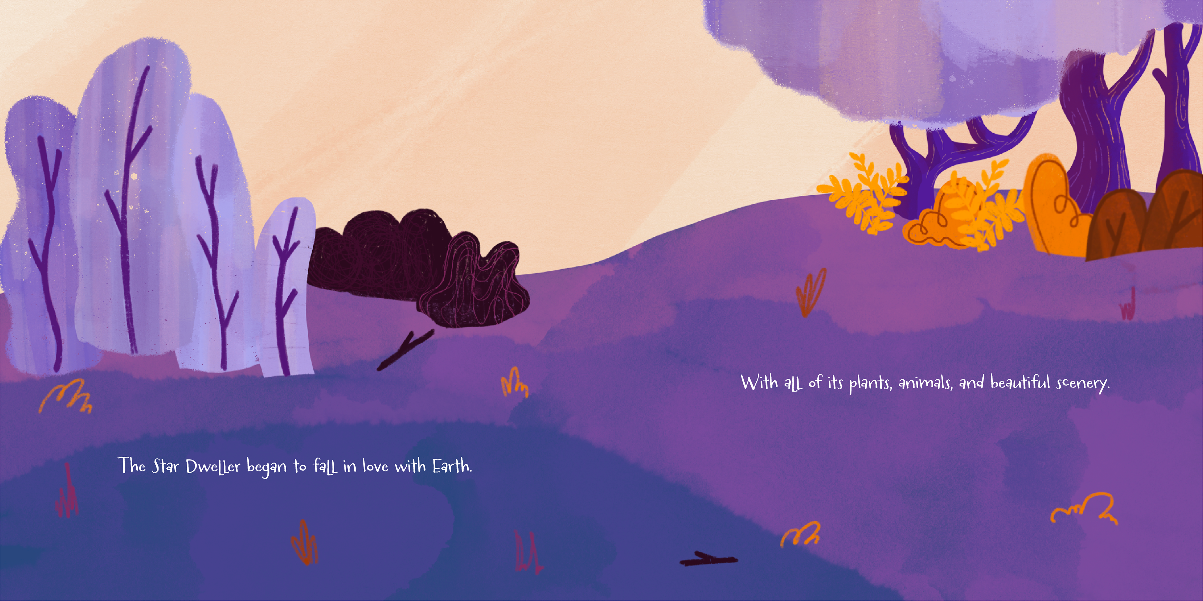 Pages 11 & 12