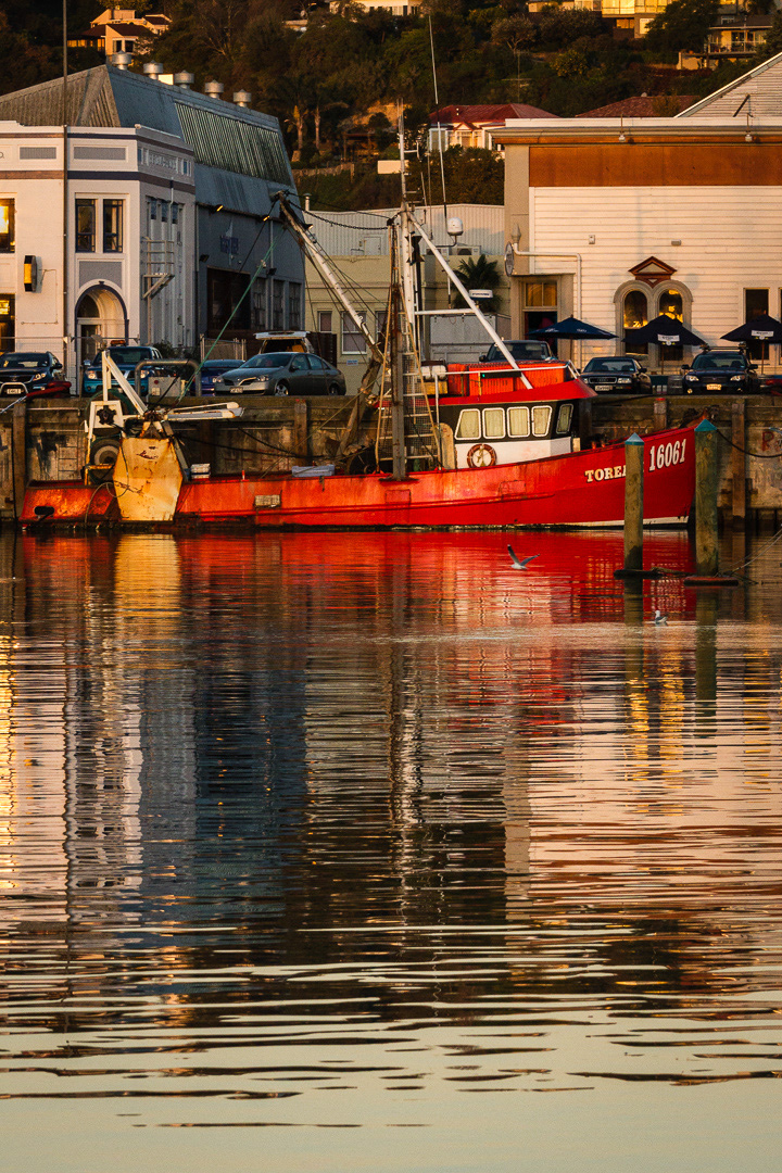 Winter Evening in Ahuriri