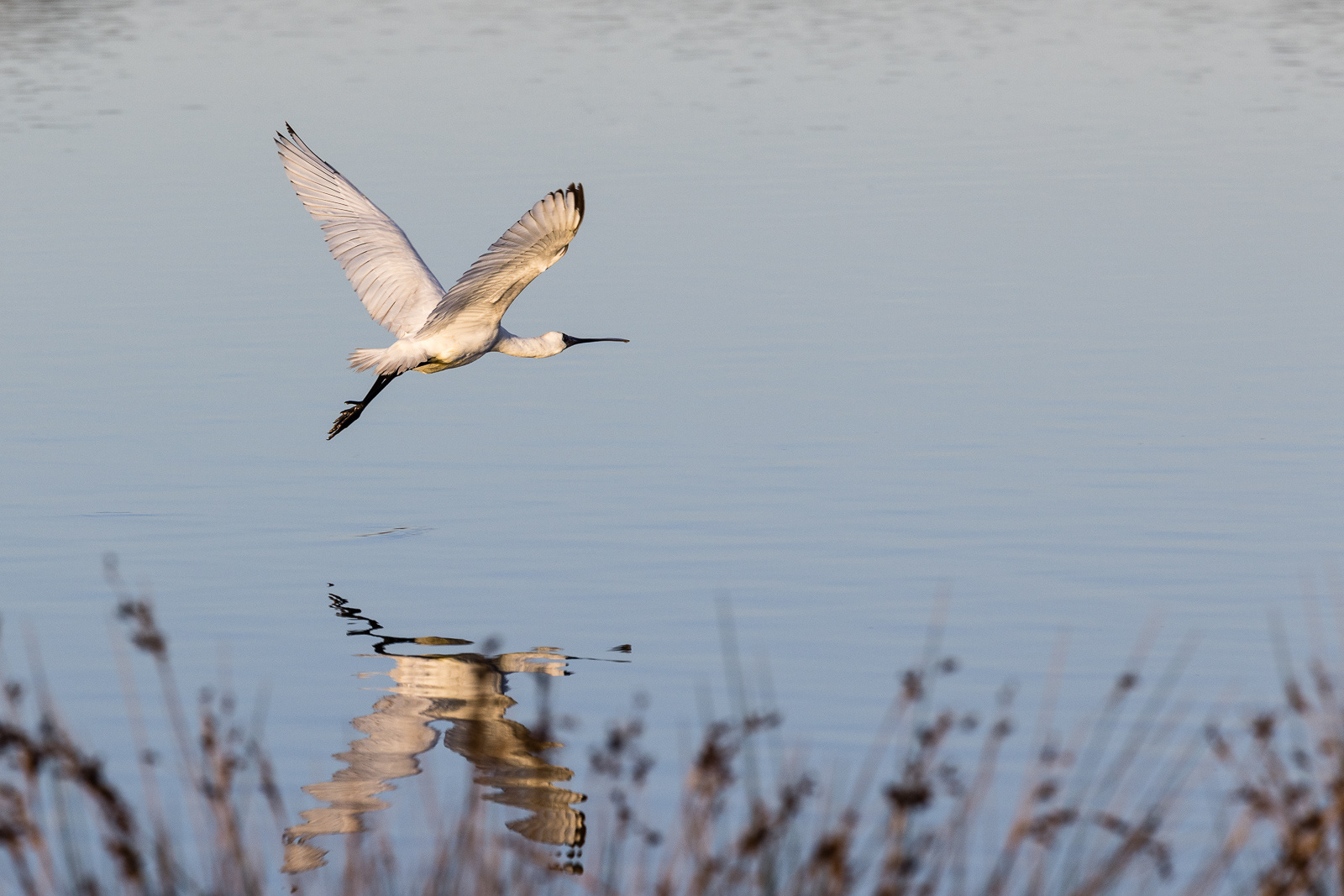 Taking Off
