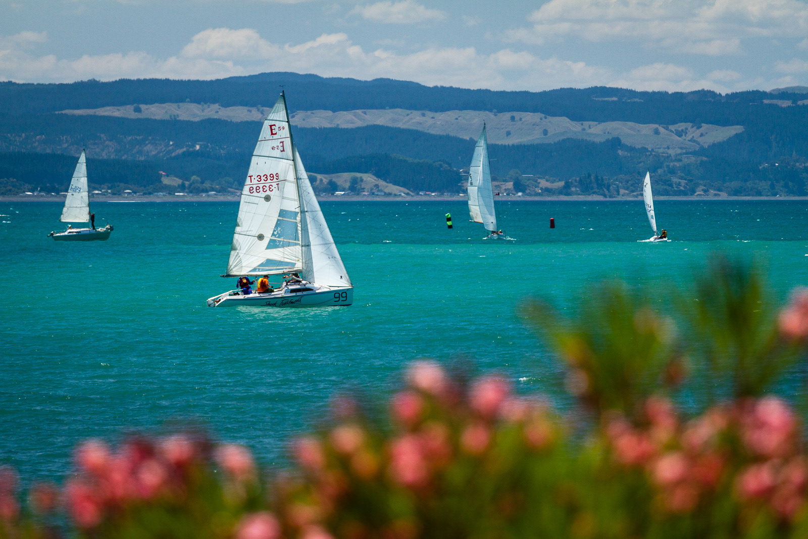 Summer Sailing