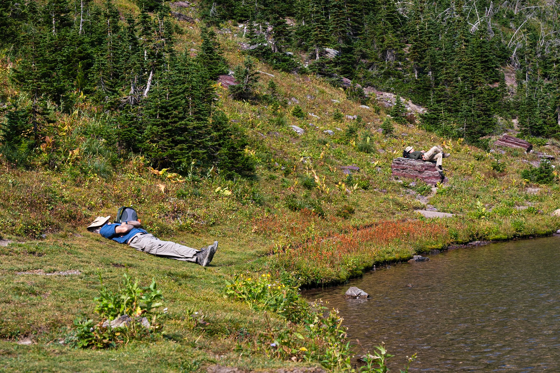 Hike: Ptarmigan