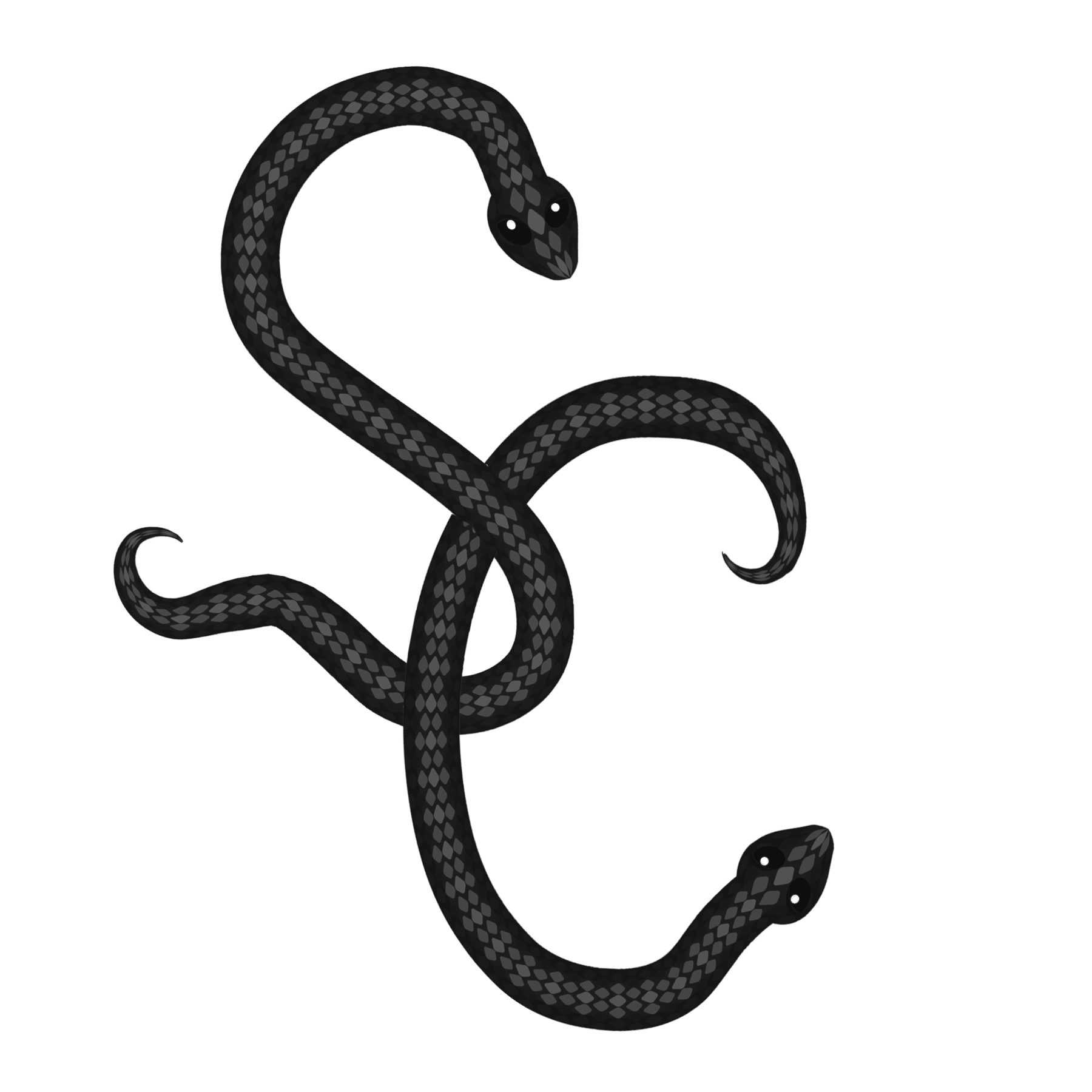 Sofia Cromwell WWE NXT logo