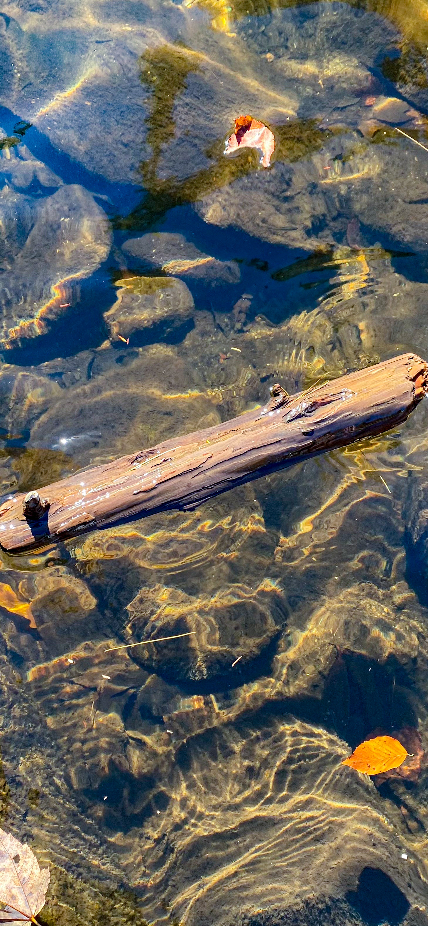 Gatlinburg, Tennessee