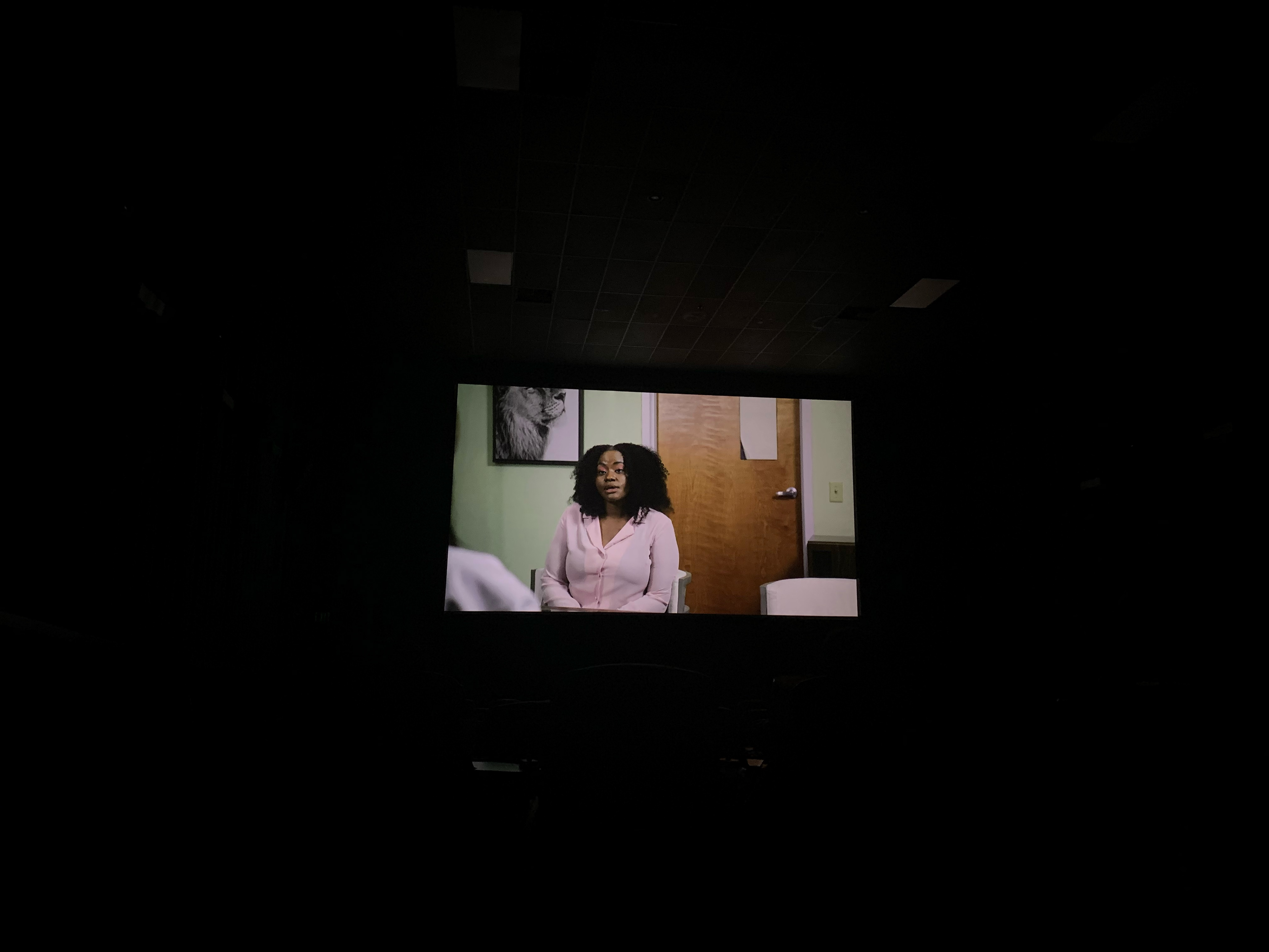 Theater Screen