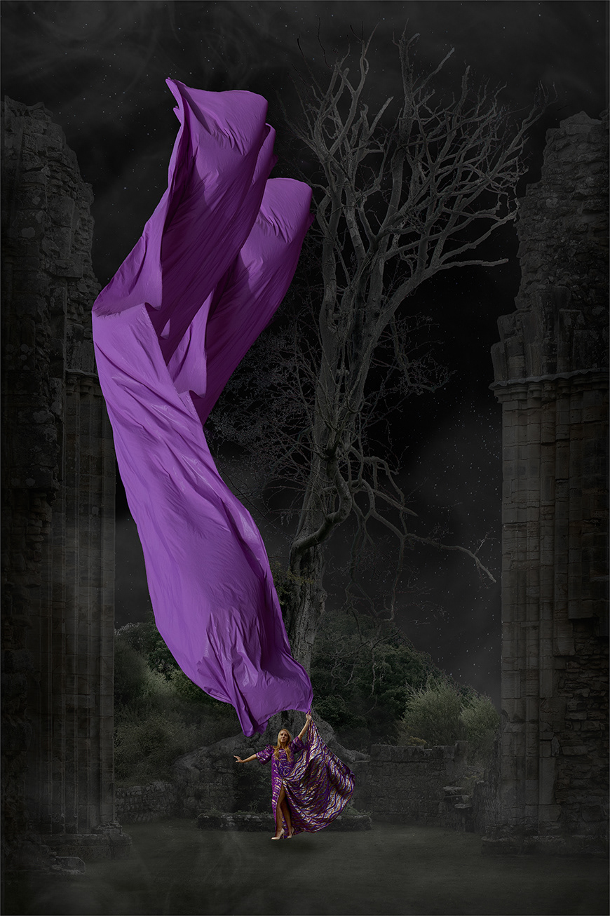 Homage to the Dying Beech ( 2024 )