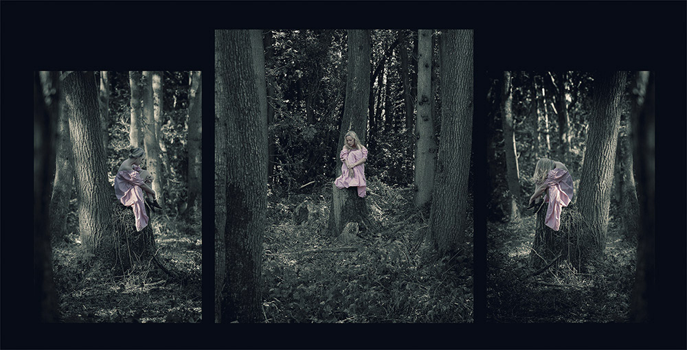 Where Nobody Comes Looking ( 2024 )