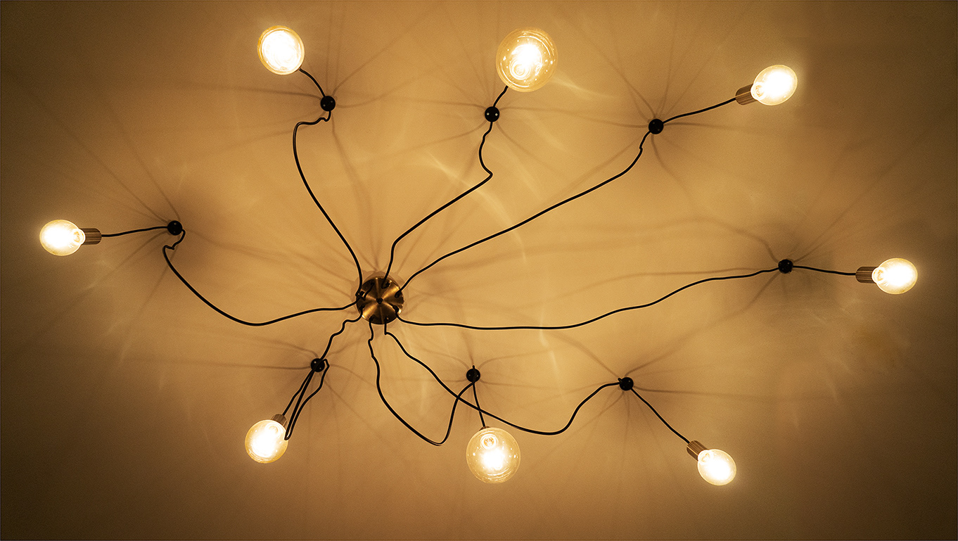Electrical Arachnid ( 2022 )
