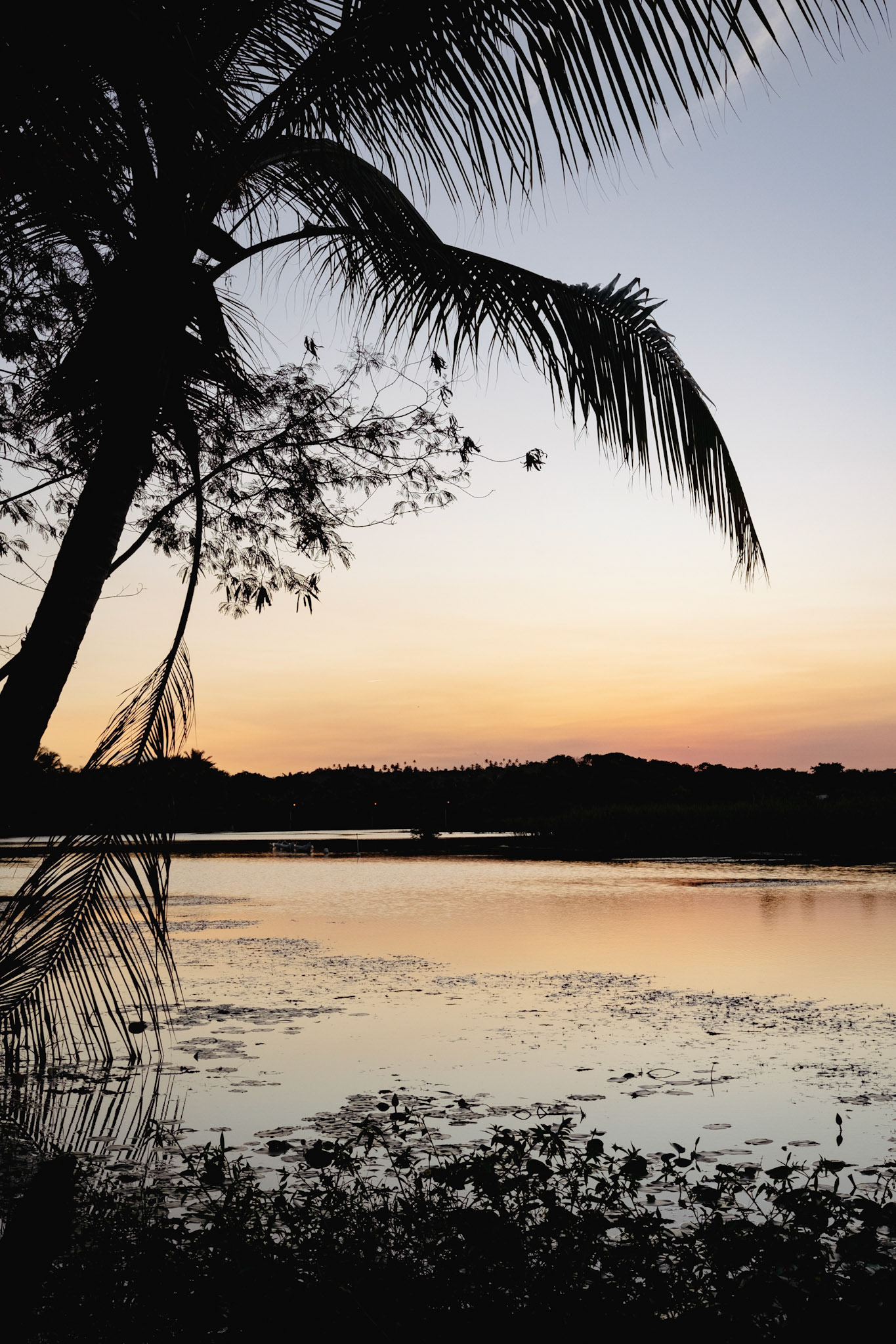 Sunset Praia do Forte - 2023